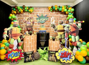 decoração tartarugas ninja curitiba